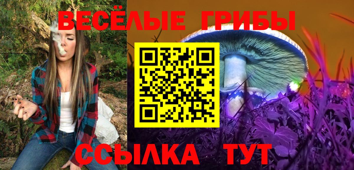 Галлюциногенные грибы Cubensis Дзержинск