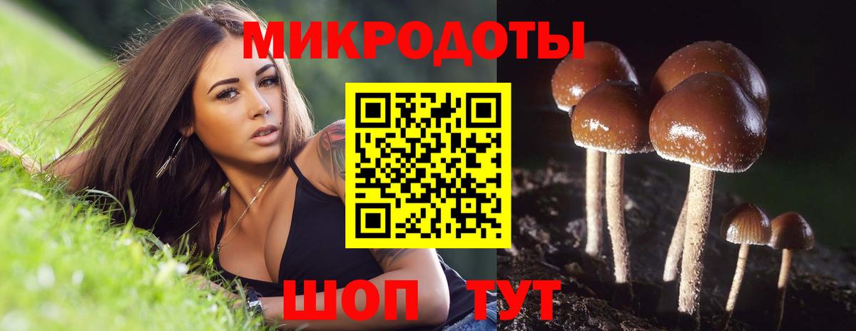 Галлюциногенные грибы мицелий  Псилоцибиновые грибы ЛСД  Дзержинск  Вход с VPN 